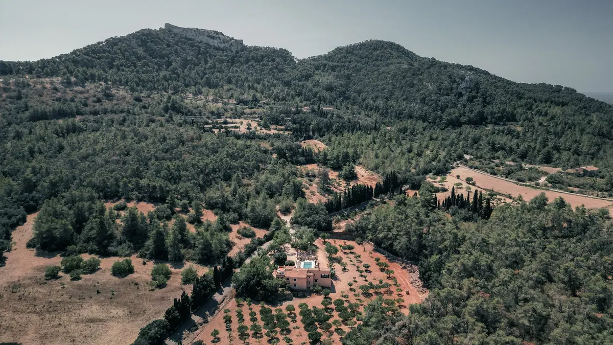 Aerial view of a country estate with a pool among olive trees and pine-clad hills