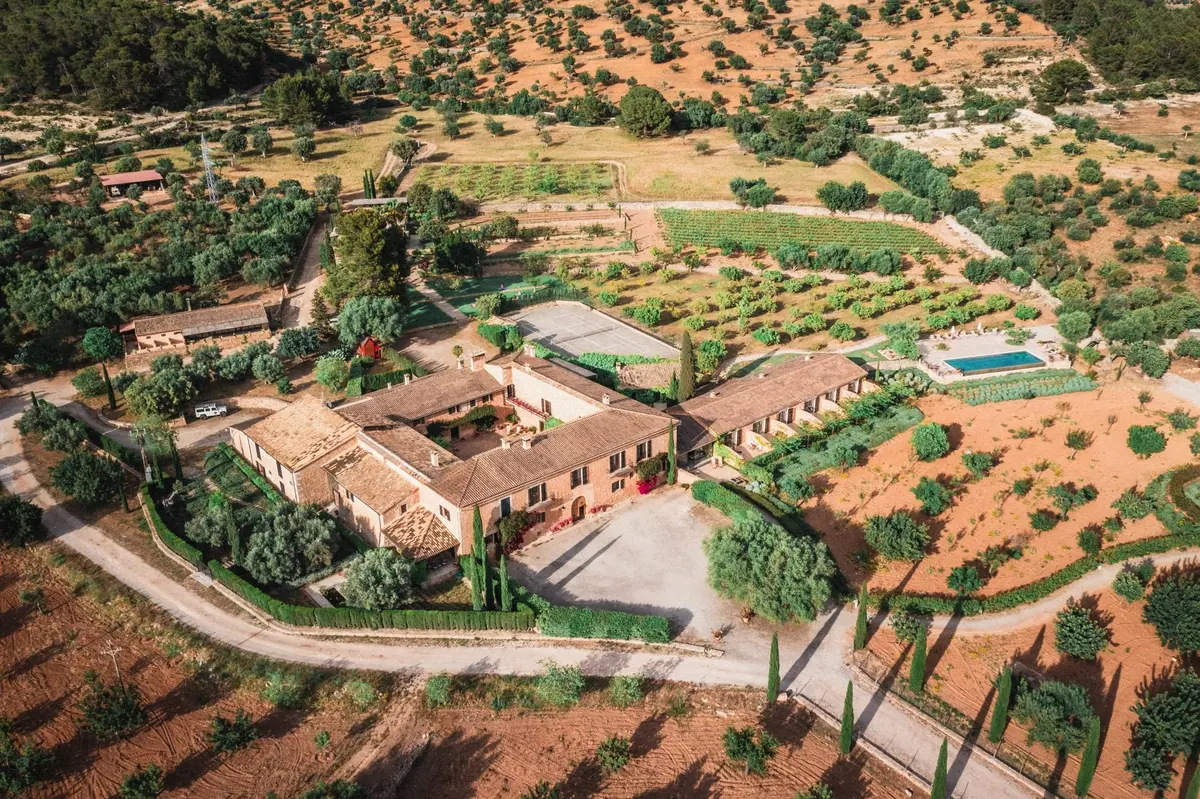 Aerial view of Finca Es Cabàs among olive trees, vineyards and a pool
