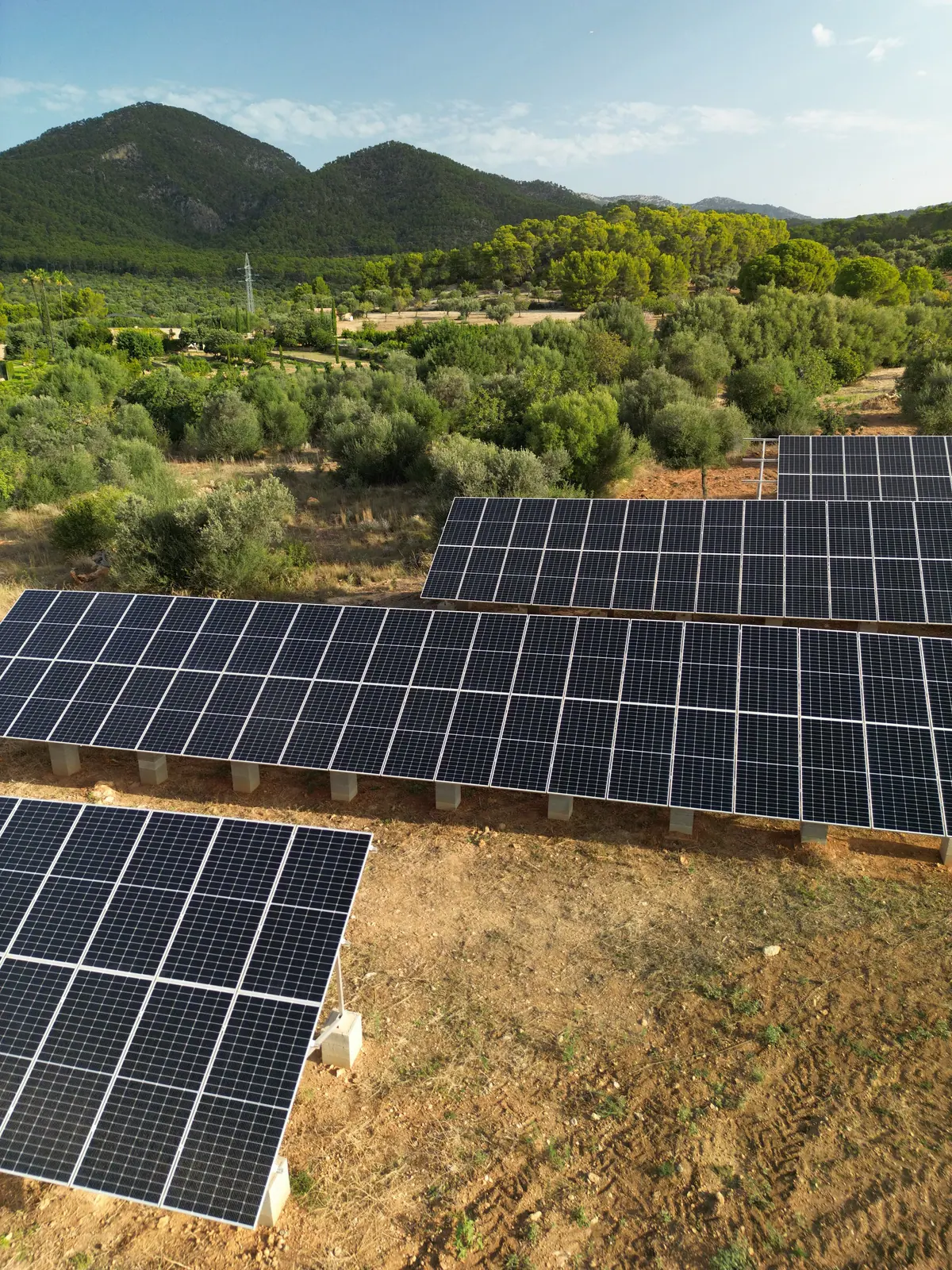 Ground-mounted solar panels among olive trees and pine-covered hills